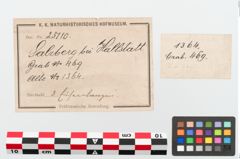 Etikett zu Eisenlanzenspitze (NHMW-PRAE-025110)